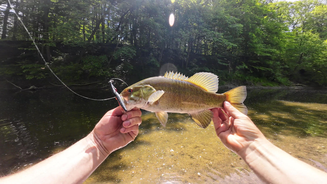 Summer Smallmouth Fishing In Creeks